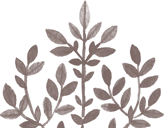 Life Manipulação Empresa